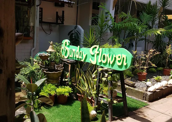 Sunday Flower And Mini-hôtel *